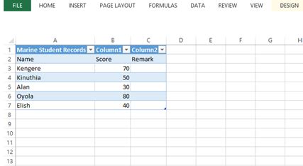 Image result for Excel True False Matrix Generate