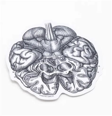 Toradh íomhá ar Cognitive Window Sticker Machine