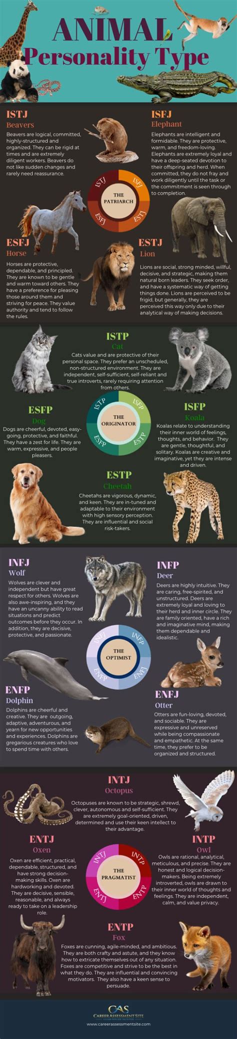 Animal Personality Types [Infographic] - Best Infographics