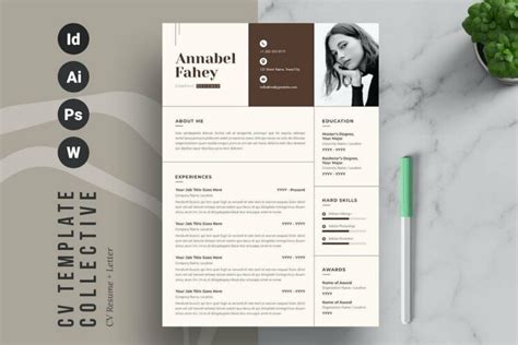 Image result for InDesign CV Template