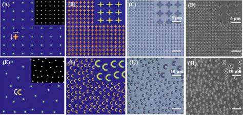 Image result for Imaging through a Microlens Array