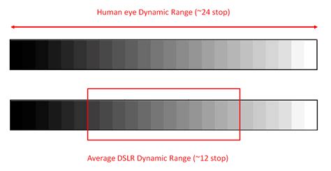 Image result for Dynamic Range Windows