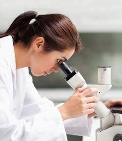 Image result for Functions of Light Microscope Parts