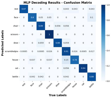 Image result for Neural Decoding MLE Example