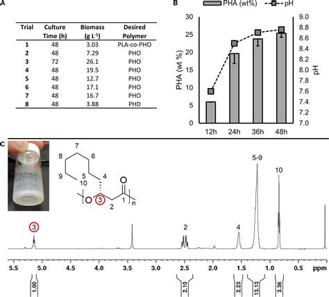 Image result for E. Coli Fermentor
