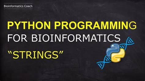 Image result for Python Programmer Bio