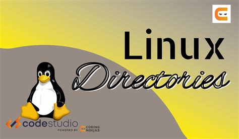 Image result for Linux 3D Directory