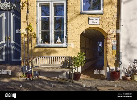 Gang Bench-এর ছবি ফলাফল