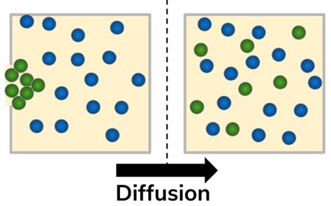 Image result for Science Diffusion Example with Cartoons