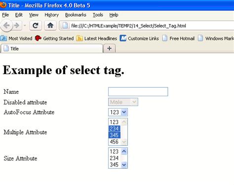 Toradh íomhá ar Input Select HTML