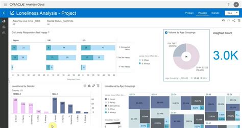 Toradh íomhá ar Oracle Analytics Server Logo