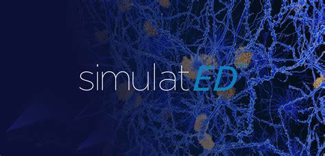 Image result for Subtalar Joint Injection vs Sinus Tarsi