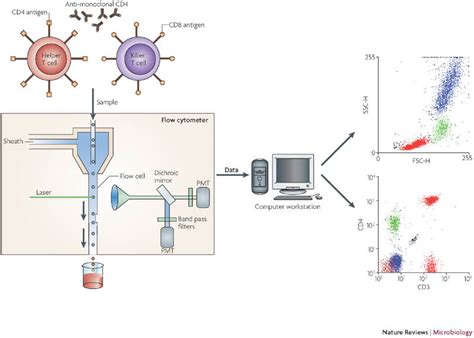Image result for Flow Cytometry Analysis Icon