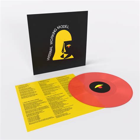 Image result for Internal Working Model