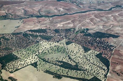 Image result for Arable Land in Spain