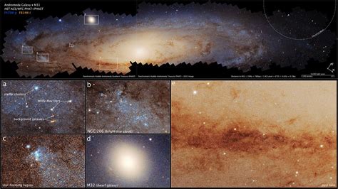 Image result for Andromeda Galaxy NASA