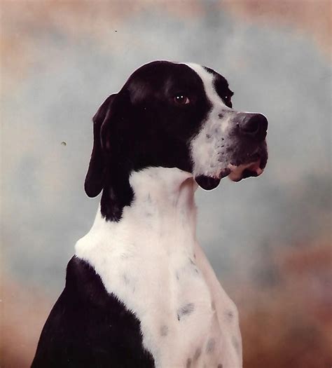 Image result for Java IDE Black and White