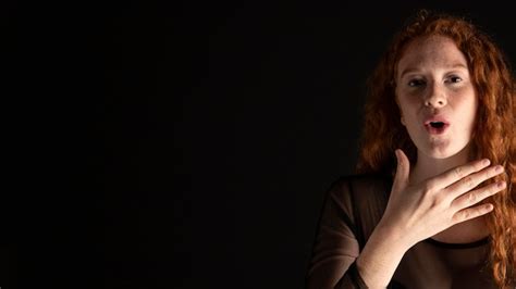 Sign Language Hand Gestures に対する画像結果