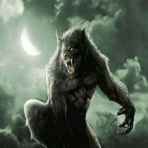 تصویر کا نتیجہ برائے Werewolf Transformation 13