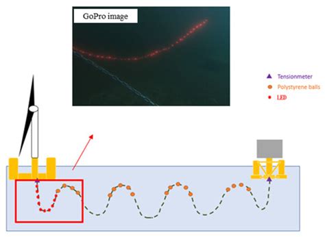 Dynamic Array Cable に対する画像結果