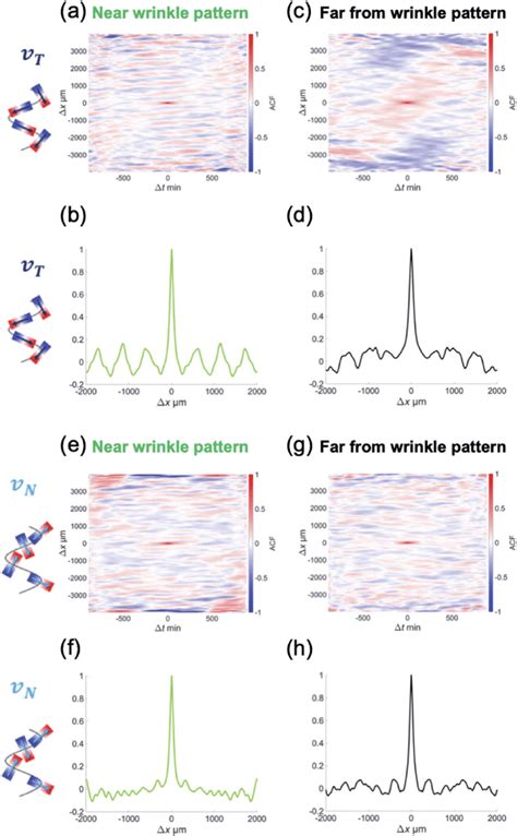 Image result for Autocorrelation Function of Random Walk