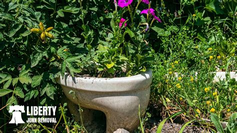 Where to Dispose of Toilet ಗಾಗಿ ಇಮೇಜ್ ಫಲಿತಾಂಶ