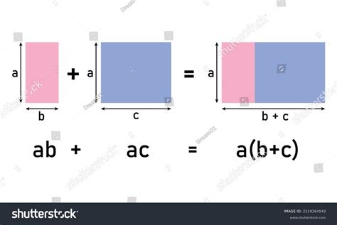 Distributive Property Definition に対する画像結果