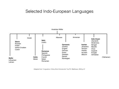 Toradh íomhá ar Coding Language Family Tree