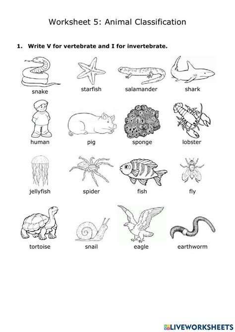 Image result for Science Process Skills Classifying Animals Worksheet