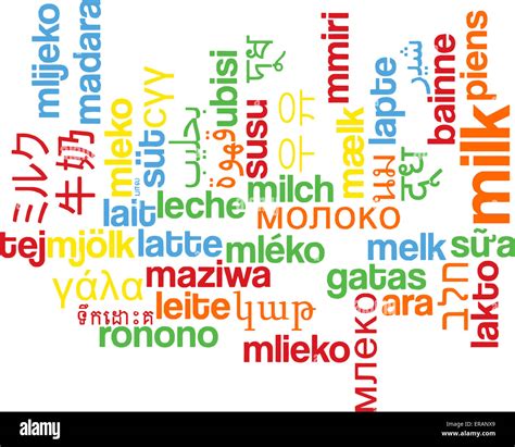 Image result for Multilanguage