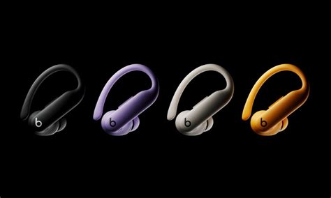 Image result for Power Beats Pro App