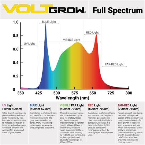 Image result for 6K LED Spectrum
