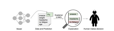Image result for Lime Machine Learning Interpreability