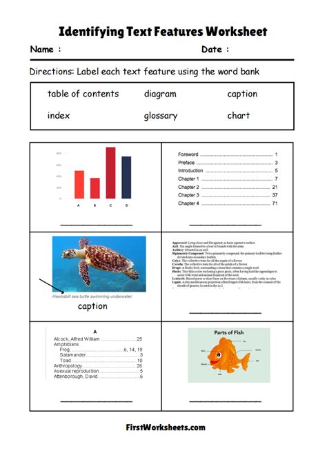 Image result for Identifying Text Features Worksheet