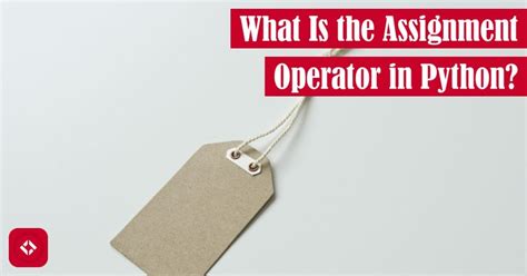 Python Assignment に対する画像結果