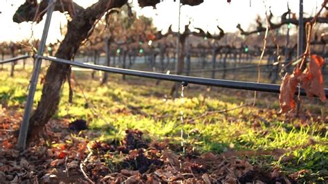 Image result for Edge Impulse Vineyard Irrigation