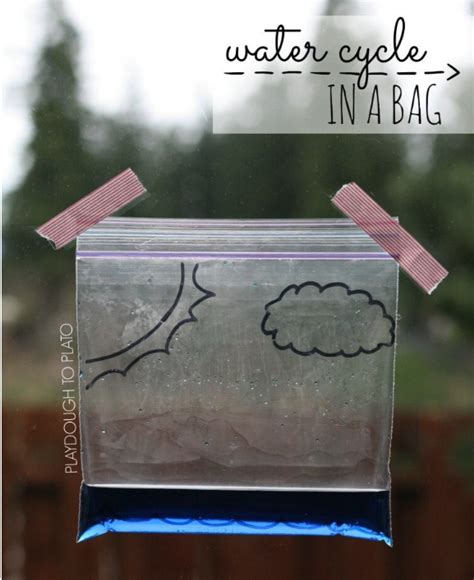 Stem Lessons for Kids に対する画像結果