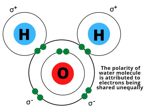 Intermolecular Forces Diagram in Water に対する画像結果