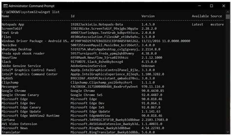 Afbeeldingsresultaten voor New Windows Package Manager