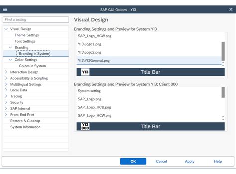 Image result for SAP GUI Settings