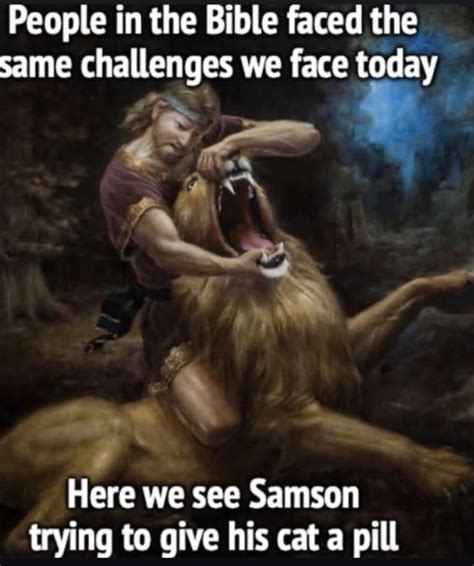 Image result for Samson Help Meme