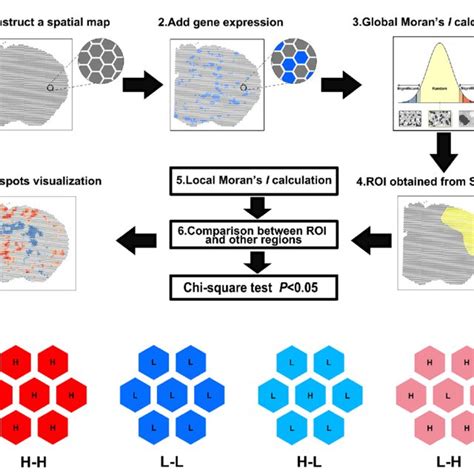 Image result for Transcriptomics Flow Chart