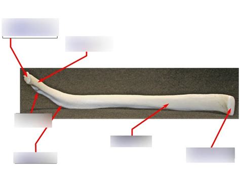 Toradh íomhá ar HMS Invincible Rib Diagram