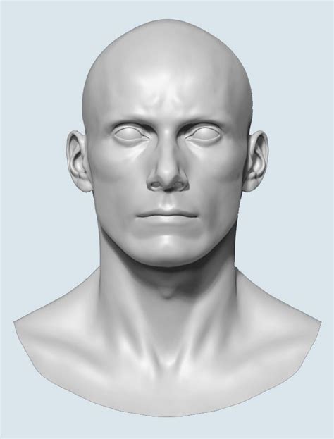 Image result for Base Face Model