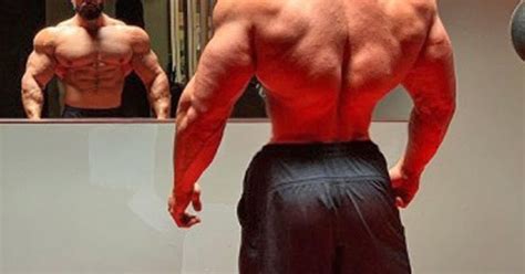 Image result for Broad Back Build