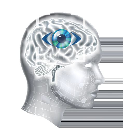 Vision Study に対する画像結果