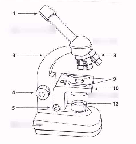 Afbeeldingsresultaten voor Compound Microscope Diagram Not Labelled
