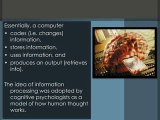 Information Processing Computer Model Cognitive Psychology に対する画像結果