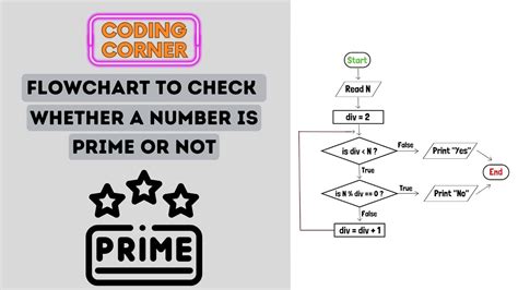 Image result for What Is a Prime Numbers in Flow Chart