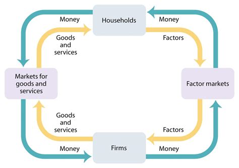 Circular Flow Module に対する画像結果
